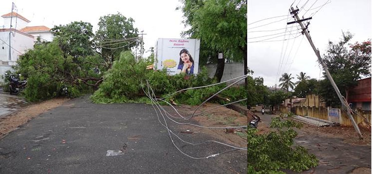 பழனியில் அரைமணி நேரம் பெய்த மழையால் கடும் சேதம்